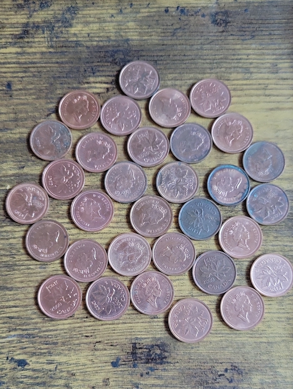 2000 Canadian One Coin Lot - Picture 1 of 1